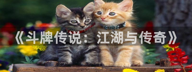 混球的姐姐漫画包子漫画：《斗牌传说：江湖与传奇》