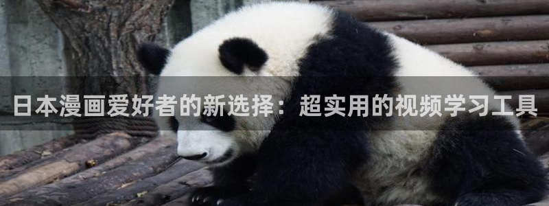 包子漫画官方页面入口下载：日本漫画爱好者的新选择：超实用的视频学习工具